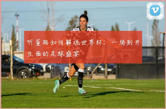 听董路如何解说世界杯:一场别开生面的足球盛宴