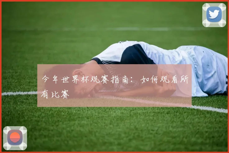 今年世界杯观赛指南:如何观看所有比赛