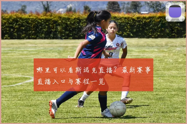 哪里可以看斯诺克直播？最新赛事直播入口与赛程一览